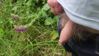 Pissing In The Forest With Flowers