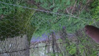 Pissing Near Private Bluebell Forest