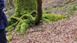 Pissing Outdoors In A Forest