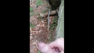 Public Cumshot In The Forest