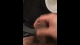 Public Play In Toilet