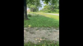 Stroking My Dick In The Forest Preserve
