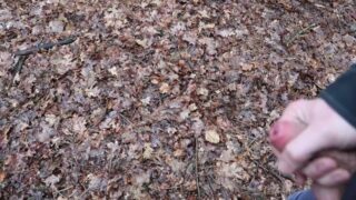Teen Boy Can’t Resist Masturbating In The Forest