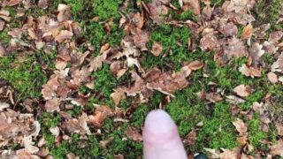 Watch My Dick Grow In The Forest