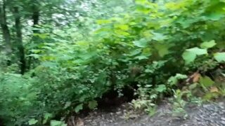 Peeing On The Bench Along The Path