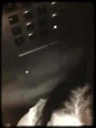 A BJ  then fucked sub on elevator