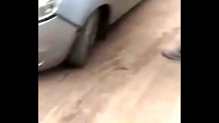 Fall s. after sex on car