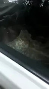 I have sex in the car